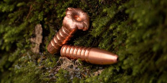 2 x Jagdgeschoss liegend auf Moos