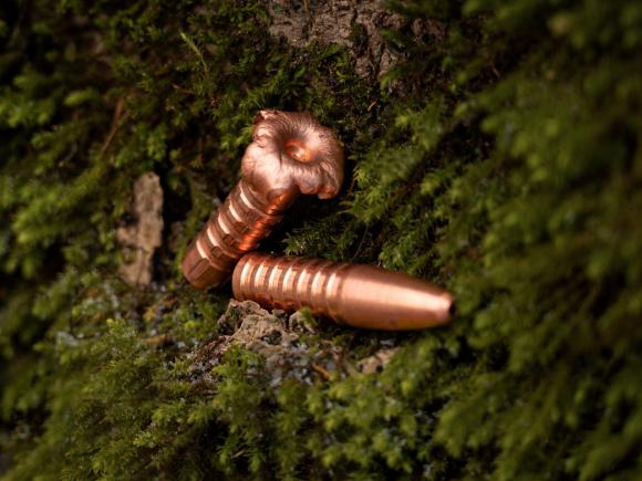 2 x Jagdgeschoss liegend auf Moos